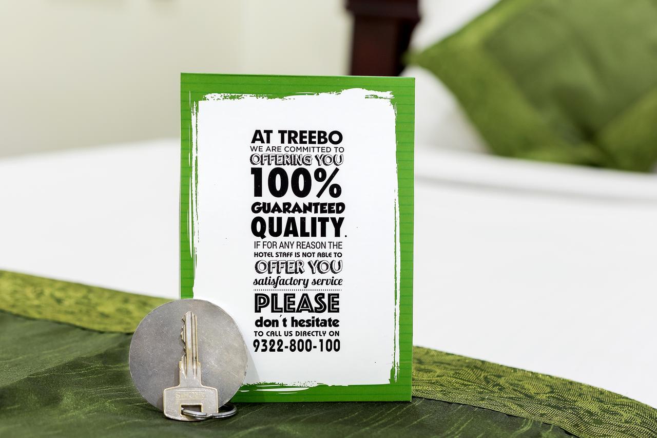 Treebo C T International Otel Delhi  Dış mekan fotoğraf